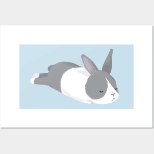 Sleeping Bunny Posters and Art